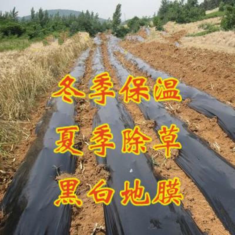 黑地膜除草膜农用加厚黑膜大棚蔬菜果园用保温保湿黑地膜