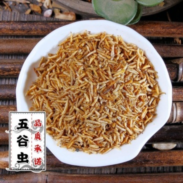 五谷虫药用食用均可批发各种中药材带抓中药方
