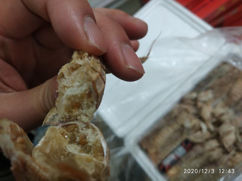 多肉熟冻皮皮虾，自助餐。