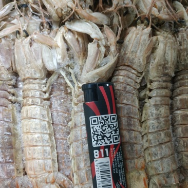 多肉熟冻皮皮虾，自助餐。