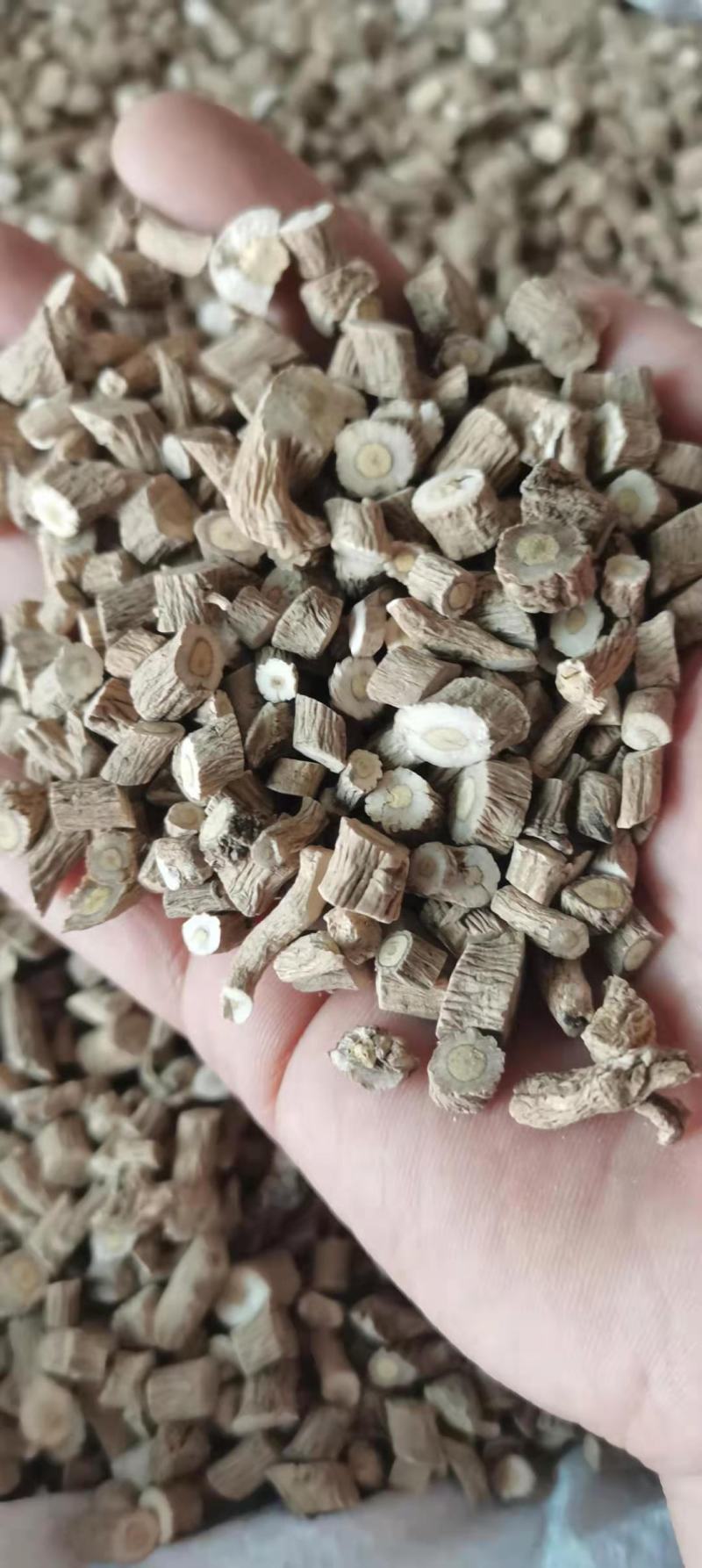 板蓝根药用无硫正品中药材批发产地直销带抓中药方