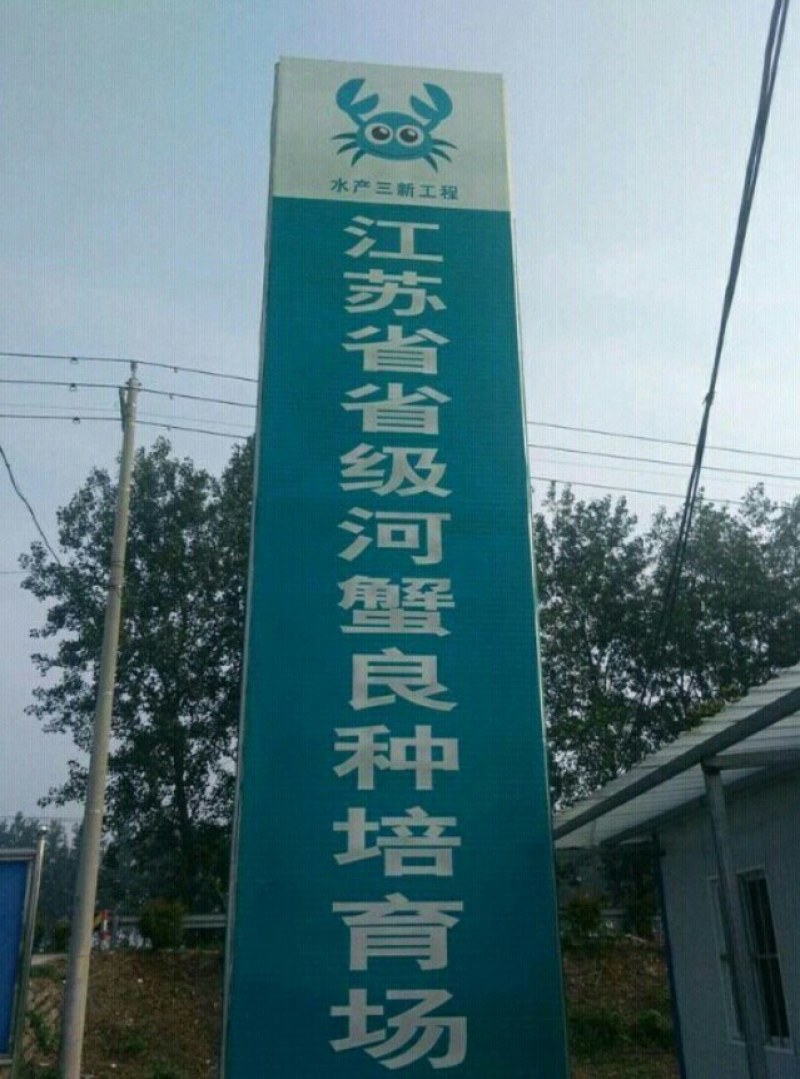 大量供应优质螃蟹苗，正规基地直供