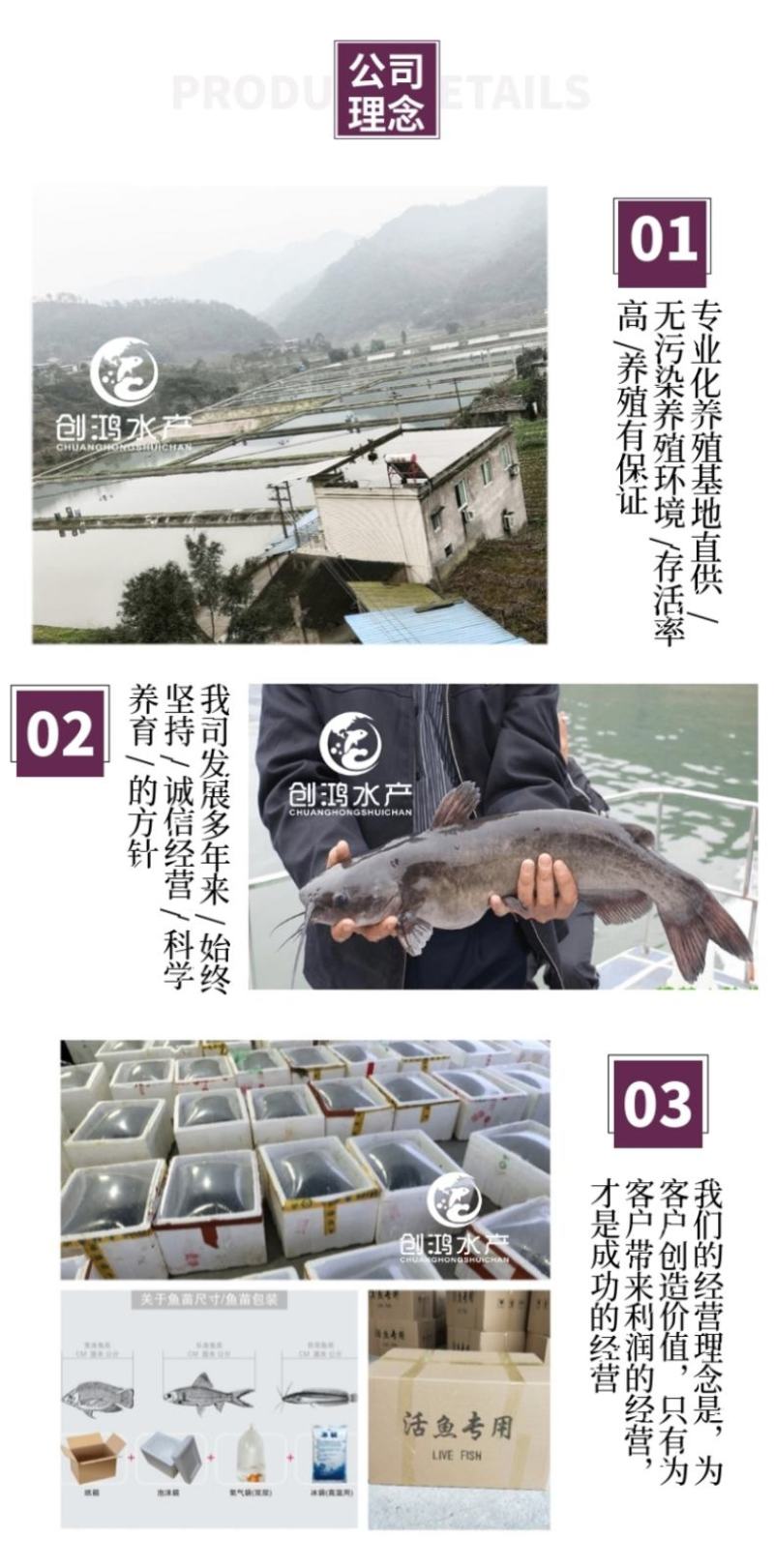 2023新苗叉尾鮰鱼苗斑点叉尾鮰鱼苗钳鱼苗淡水鱼苗