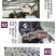 【2023新苗】叉尾鮰鱼苗美国斑点叉尾鮰鱼苗叉尾钳鱼苗