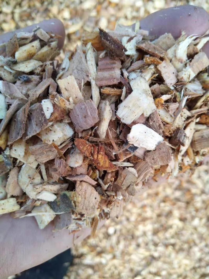 河北石家庄玉米芯颗粒，棉籽壳棉渣，麸皮次粉