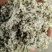 棉籽壳棉渣玉米芯颗粒压块，麸皮次粉稻草木屑，甜菜粕啤酒糟