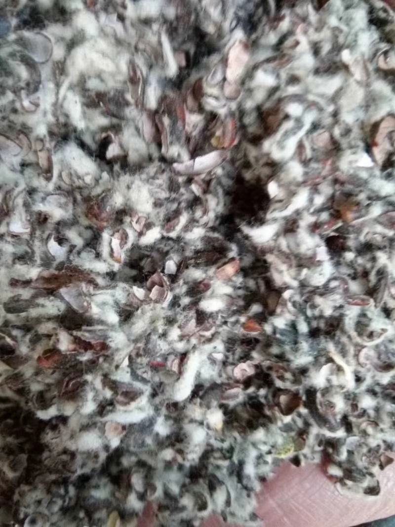 直销棉籽壳棉渣玉米芯颗粒压块，麸皮次粉稻草木屑
