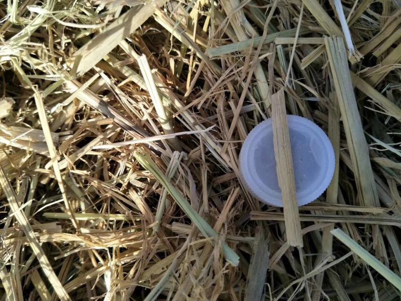直销棉籽壳棉渣玉米芯颗粒压块，麸皮次粉稻草木屑