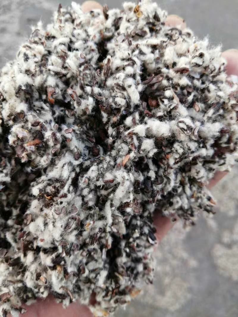 棉籽壳棉渣玉米芯颗粒压块，麸皮次粉稻草木屑，全国发货