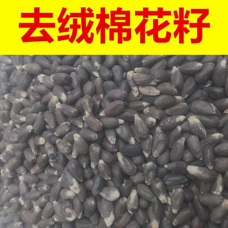 棉花子药用去毛棉花籽正品无硫中药材带抓中药方