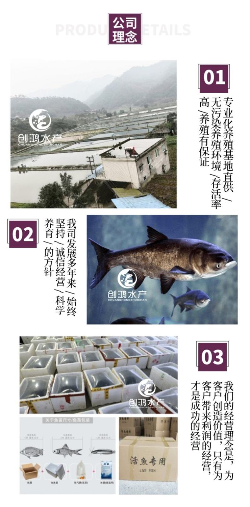 【2023新苗】鳙鱼苗大头鱼苗花鲢鱼苗花鲢水花出售