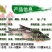 【2023新苗】鳙鱼苗大头鱼苗花鲢鱼苗四大家鱼出售