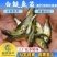 2023新苗白鲢鱼苗鳊鱼苗四大家鱼出售各种淡水鱼苗