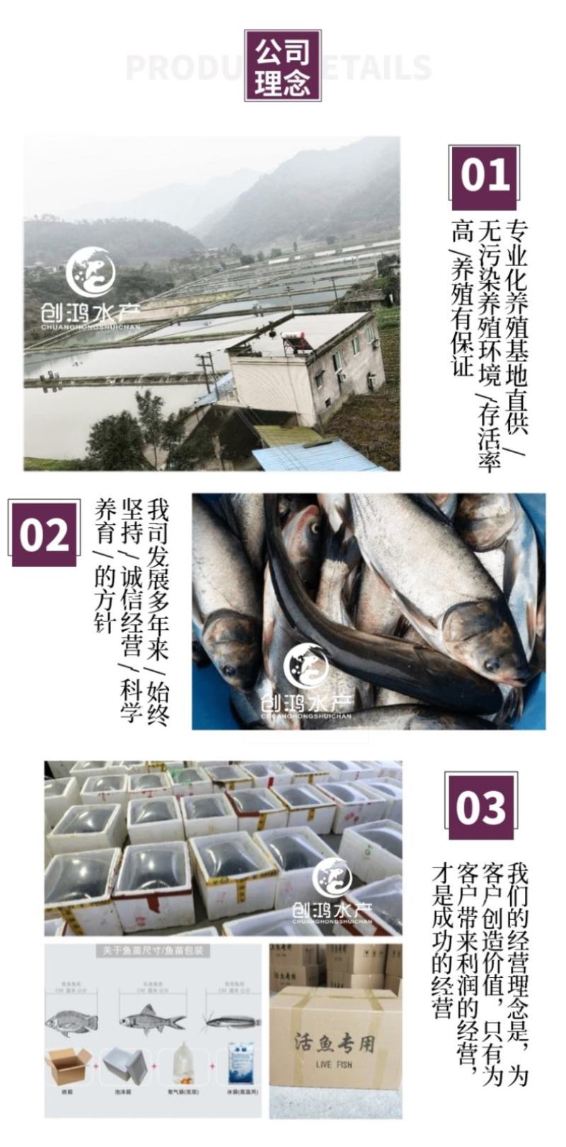 【2023新苗】白鲢鱼苗鳊鱼苗白鲢水花供应各种淡水鱼苗