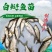 2023新苗白鲢鱼苗鳊鱼苗四大家鱼出售各种淡水鱼苗