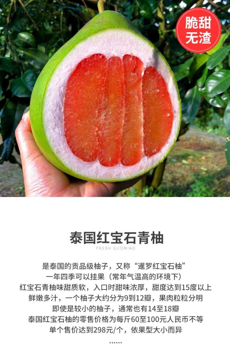 泰国红宝石青柚苗基地直供品种纯正可签合同