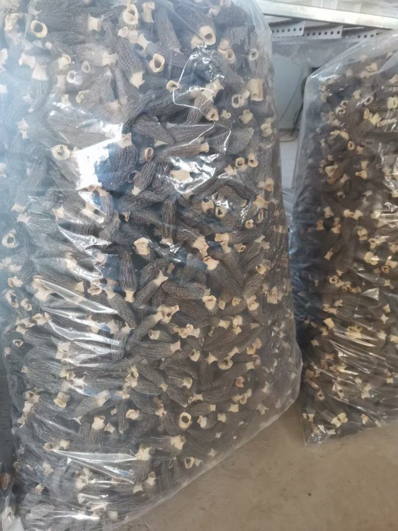 羊肚菌干品云南干羊肚菌产地批发一件代发包邮