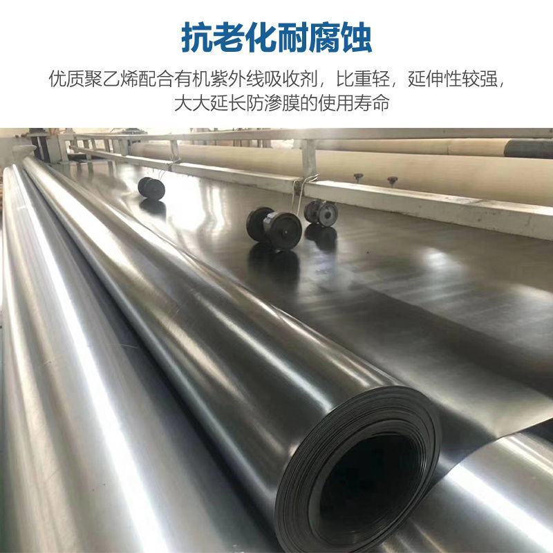 黑色鱼塘防渗膜土工膜防漏水池塘防水布塑料加膜纸鱼池专用防