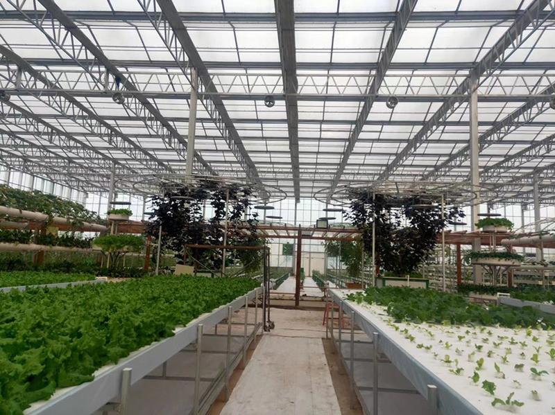 温室大棚温室无土栽培蔬菜大棚专业安装团队售后完善