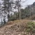 万亩林地合作，适合林下养殖