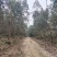 万亩林地合作，适合林下养殖