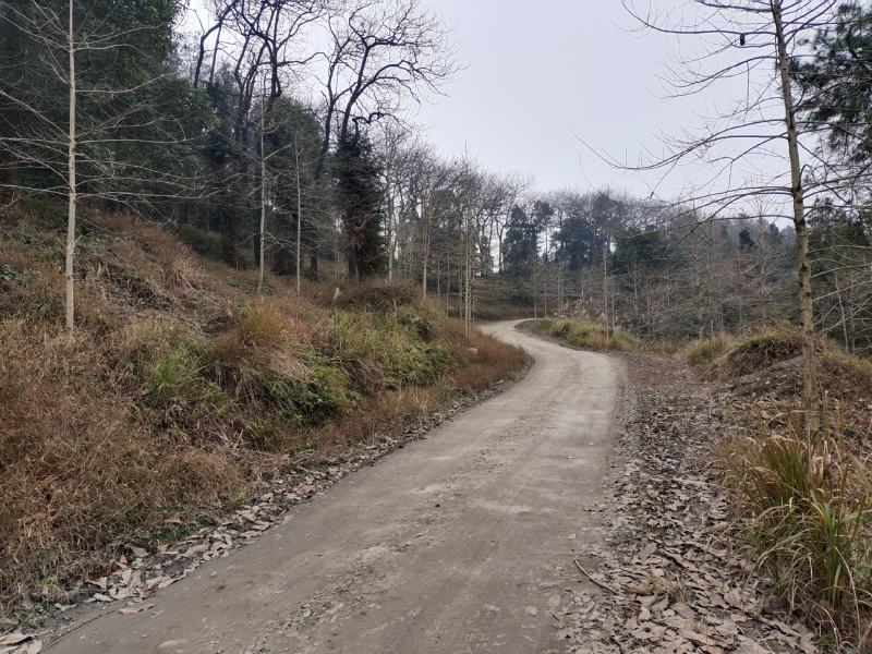 万亩林地合作，适合林下养殖