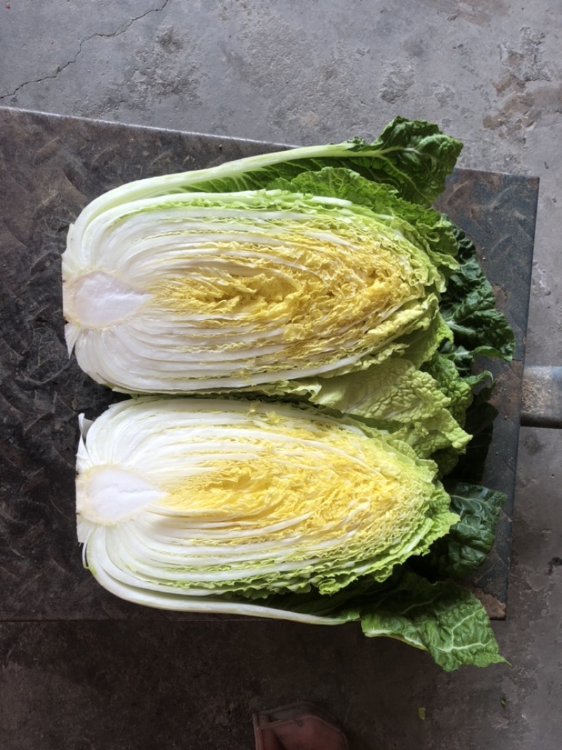 基地高品质黄心大白菜，诚信经营以口碑代替销量！