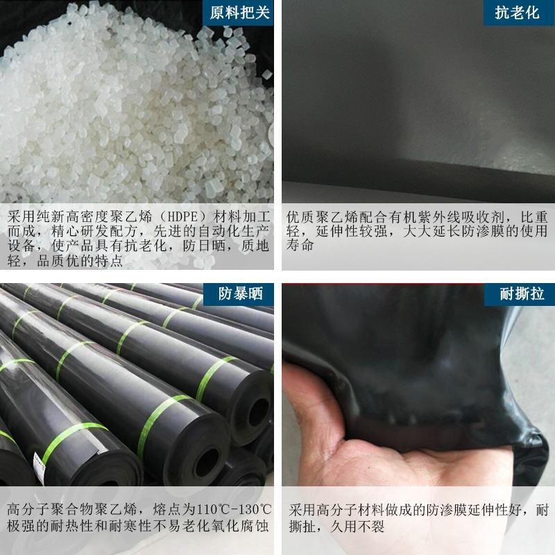 黑色塑料膜加厚养殖膜鱼塘防渗膜鱼池防水布藕池防渗膜土工膜