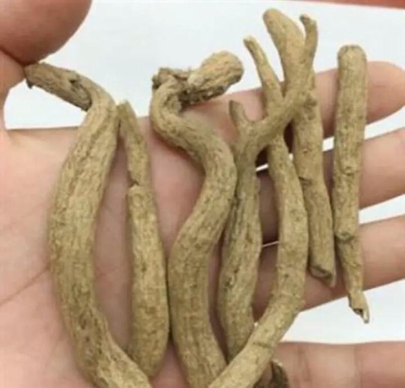 【牛商推荐】紫金龙申枝莲豌豆七川山七