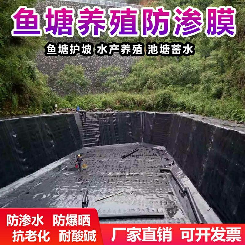 黑色塑料膜加厚养殖膜鱼塘防渗膜鱼池防水布藕池防渗膜土工膜
