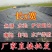 黑色塑料膜加厚养殖膜鱼塘防渗膜鱼池防水布藕池防渗膜土工膜