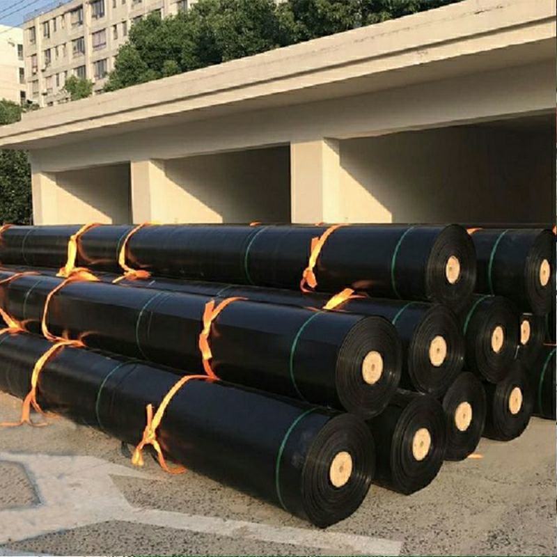 黑色塑料膜加厚养殖膜鱼塘防渗膜鱼池防水布藕池防渗膜土工膜