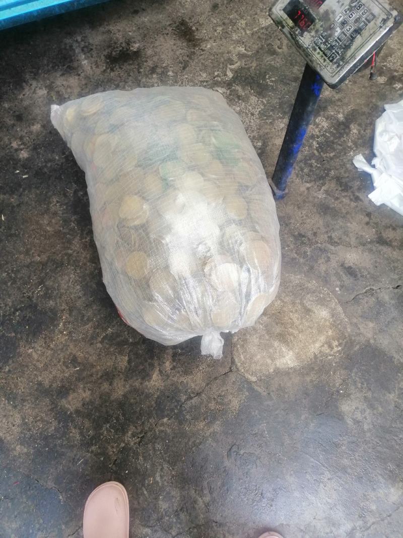 脆皮豆腐，干货，豆制品。