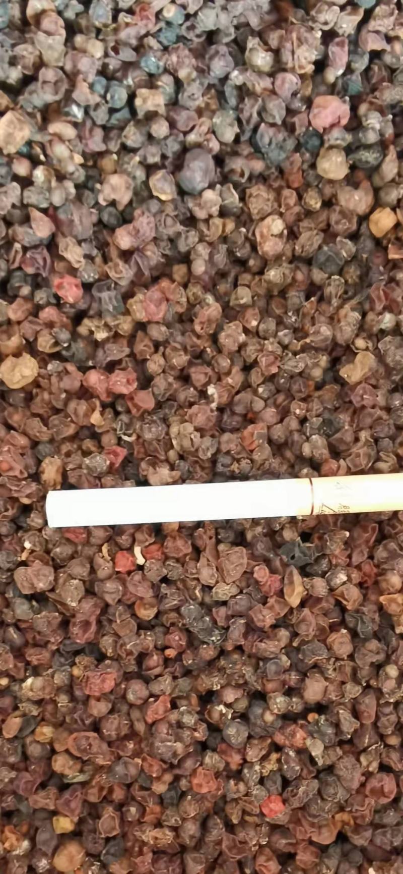 南五味子纯中药大山深处生长一年采一次