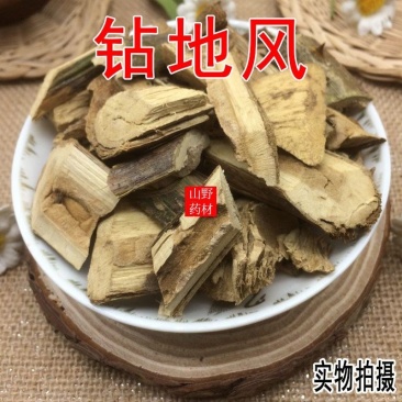 云南野生中药材钻地风钻地枫追地枫500g包邮