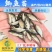 【2023新苗】鲫鱼鱼苗中科三号鲫鱼苗白鲫鱼苗东北鲫