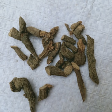 五爪龙，中药材五爪龙质量保证，经营各种中药材欢迎咨询！
