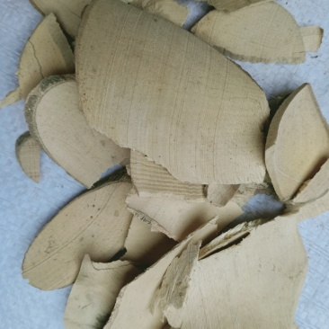 枸骨根，正品枸骨根质量保证，经营各种中药材欢迎咨询合作！