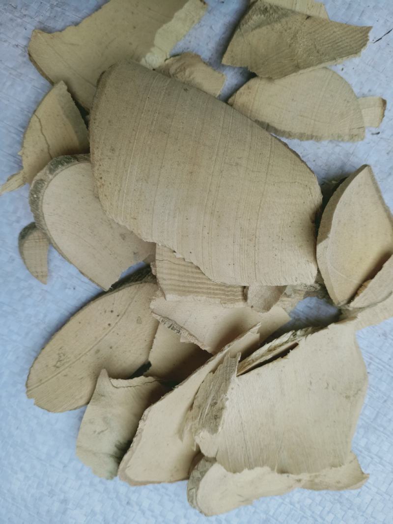 枸骨根，正品枸骨根质量保证，经营各种中药材欢迎咨询合作！