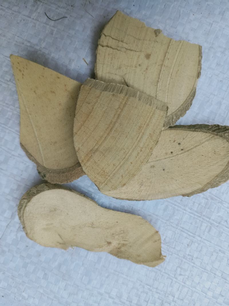 枸骨根，正品枸骨根质量保证，经营各种中药材欢迎咨询合作！