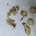 山豆根，北豆根，中药材北豆根非广豆根质量保证，