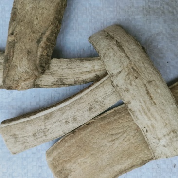 三分三，中药材三分三正品质量保证经营各种中药材欢迎咨询