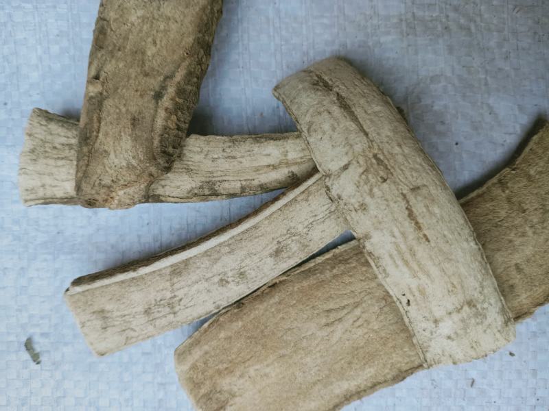 三分三，中药材三分三正品质量保证经营各种中药材欢迎咨询