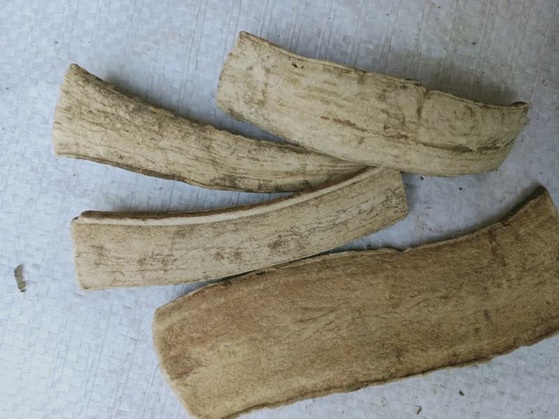 三分三，中药材三分三正品质量保证经营各种中药材欢迎咨询