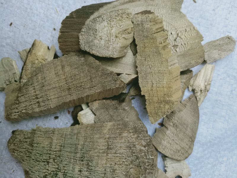 樟木，樟木根质量保证，经营各种中药材，欢迎咨询合作！