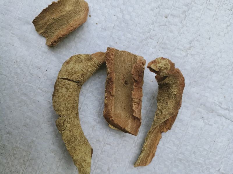 雷公藤皮，紫金皮质量保证，经营各种中药材欢迎咨询合作！