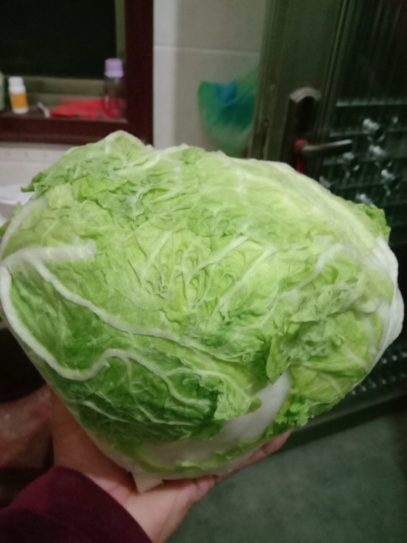 武陟优质大白菜，品质优良