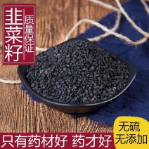 韭菜子纯韭菜籽水洗不是种子农副产品