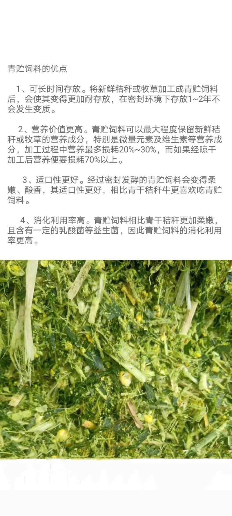 供应玉米桔杆青储，甘蔗尾青储，小麦桔杆，花生秧，稻草等