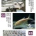 【2023新苗】金鳙鱼苗金花鲢鱼苗金大头鱼苗淡水养殖